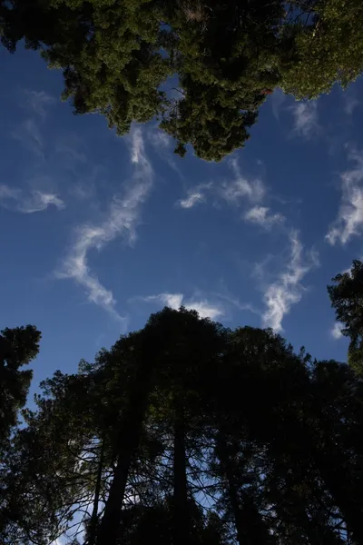 DSC_4283 (Large).JPG